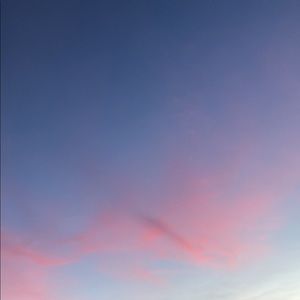 Meet your Posher, Max